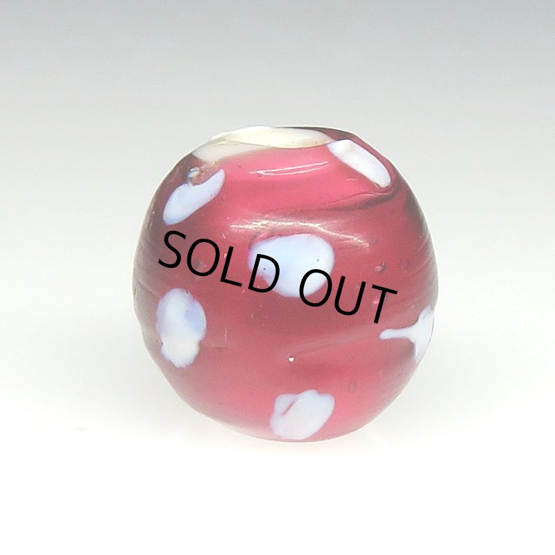 画像2: 美深い金赤のレッドスカンク (2)