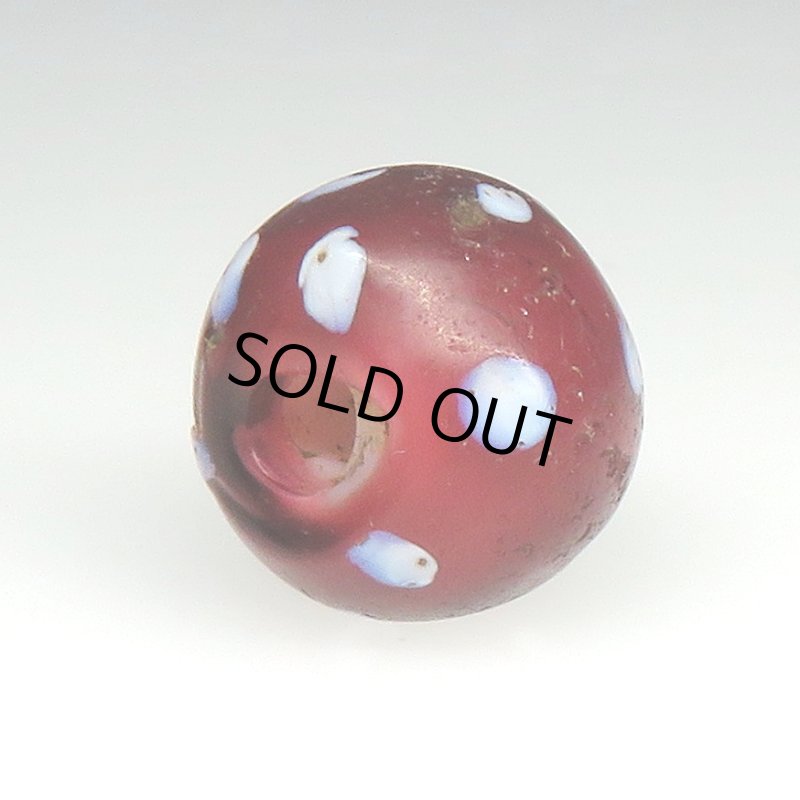 画像4: 深い金赤のレッドスカンク (4)