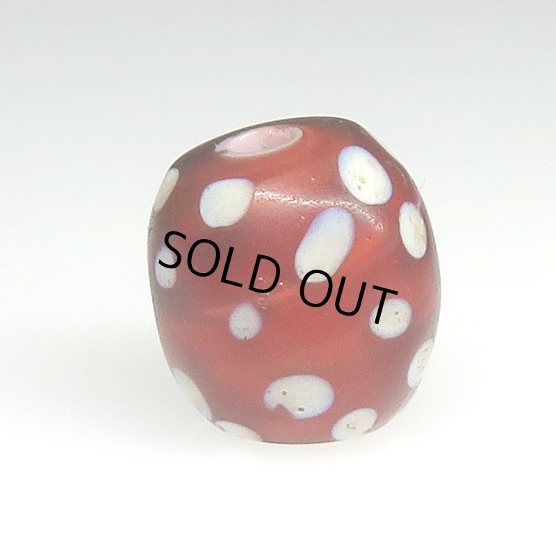 画像2: 美深い金赤のレッドスカンク (2)