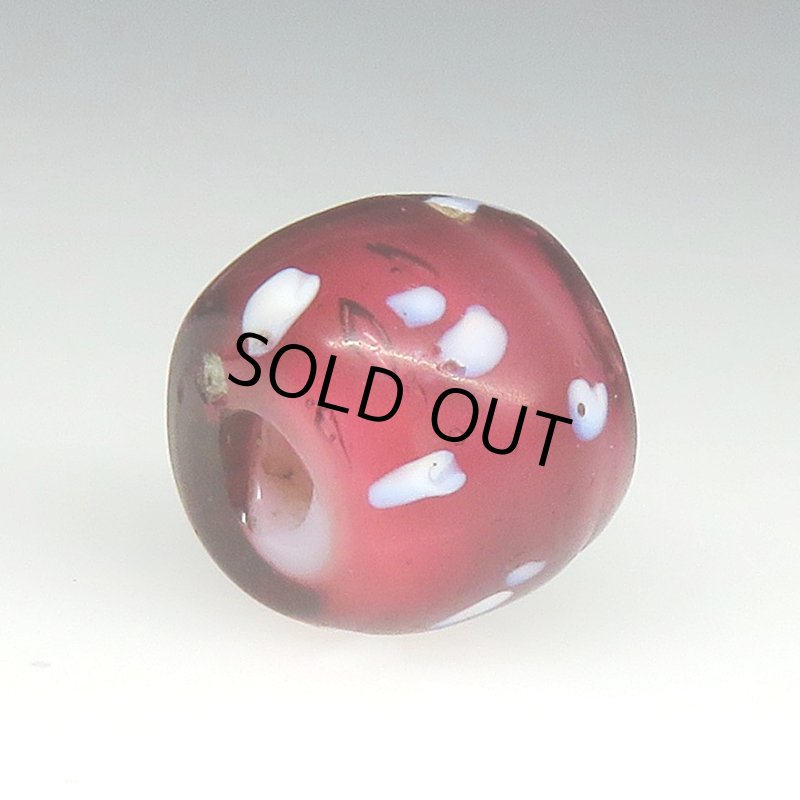 画像4: 美深い金赤のレッドスカンク (4)