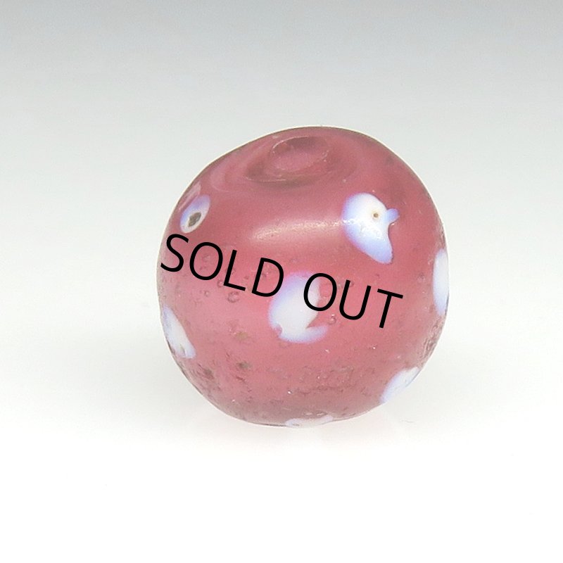 画像2: 金赤のレッドスカンク (2)