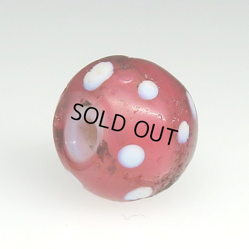 画像4: 金赤のレッドスカンク (4)