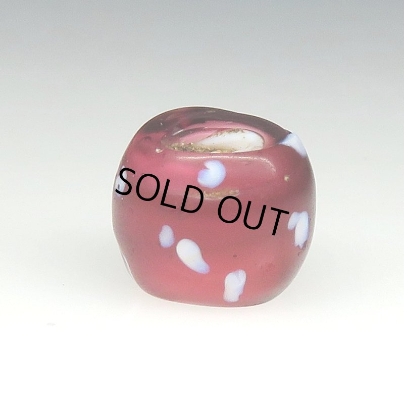 画像2: 美深い金赤のレッドスカンク (2)