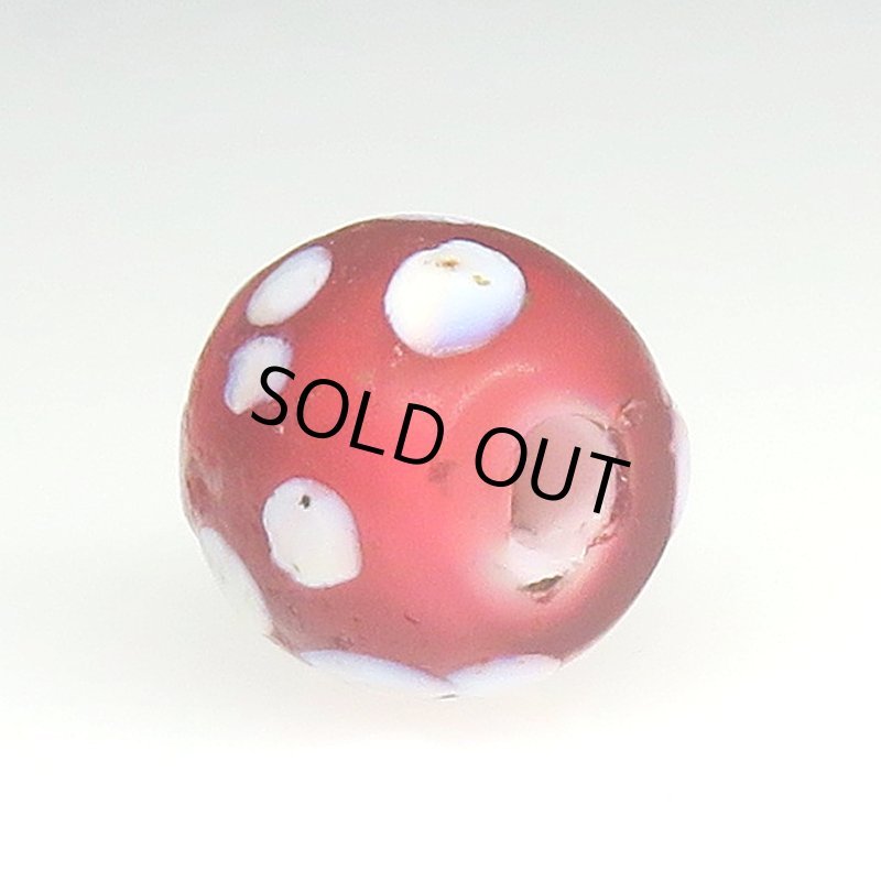 画像4: 美金赤のレッドスカンク (4)