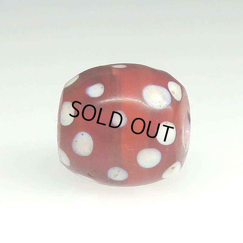 画像3: 美深い金赤のレッドスカンク (3)