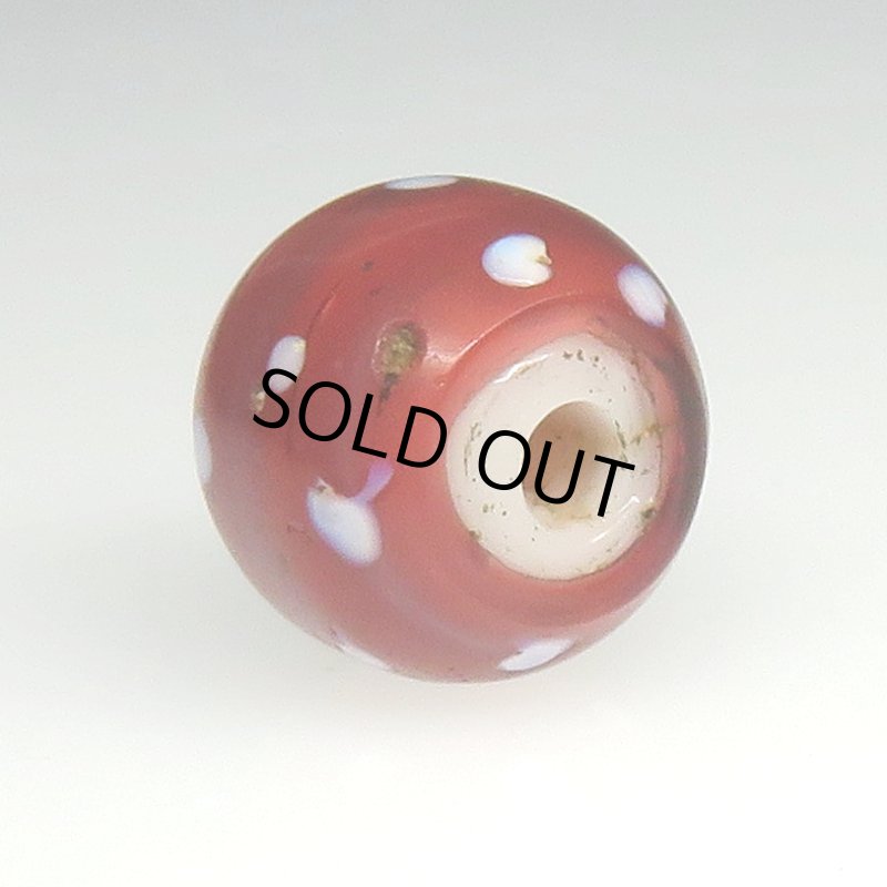 画像4: 深い金赤のレッドスカンク (4)