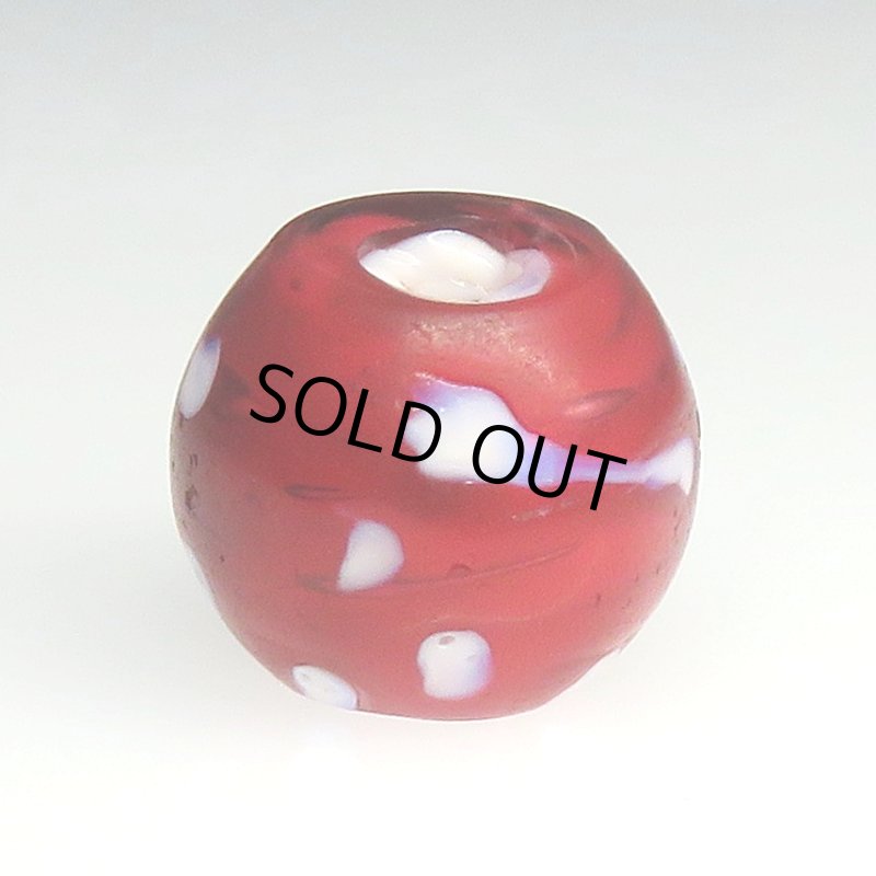 画像2: 金赤のレッドスカンク (2)