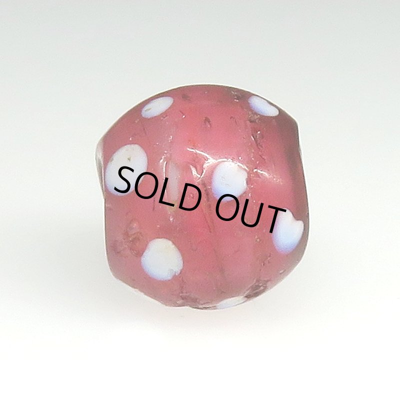 画像3: 金赤のレッドスカンク (3)