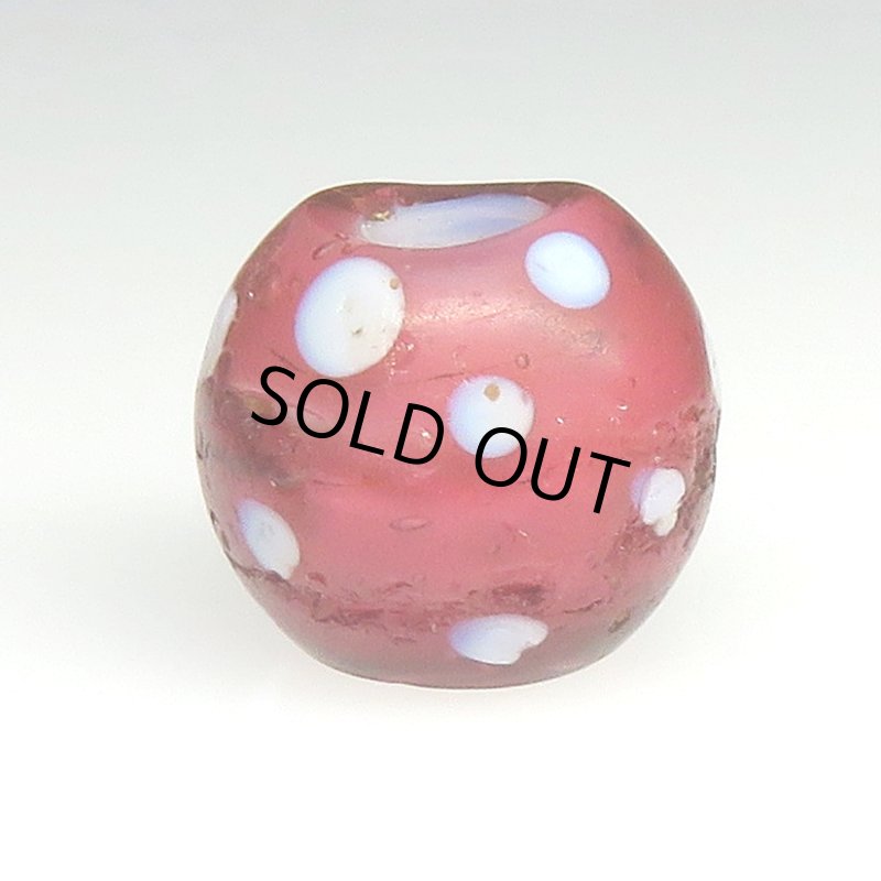 画像2: 金赤のレッドスカンク (2)