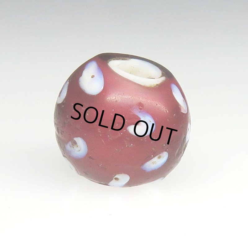 画像2: 深い金赤のレッドスカンク (2)