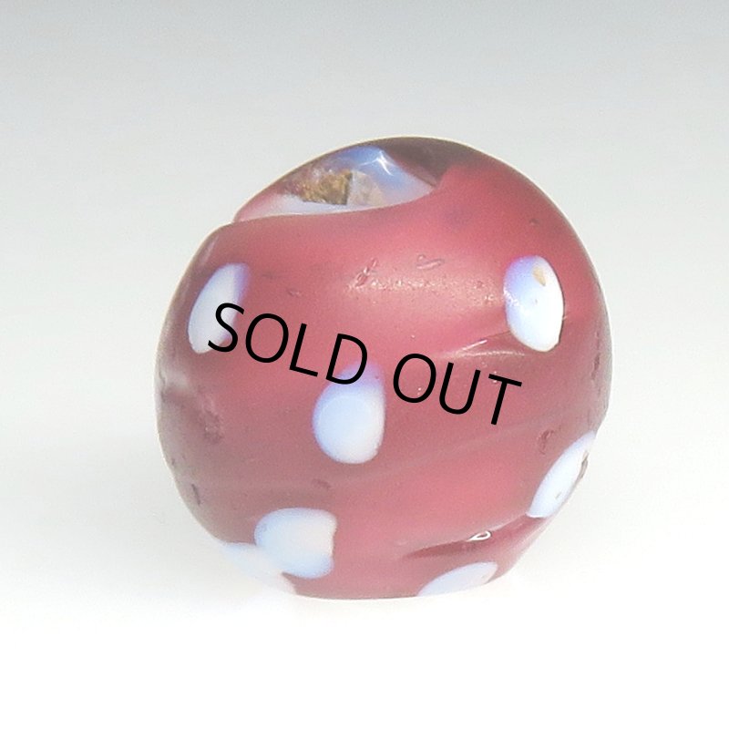 画像2: 金赤のレッドスカンク (2)