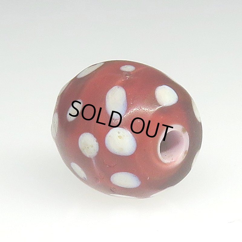 画像4: 美深い金赤のレッドスカンク (4)