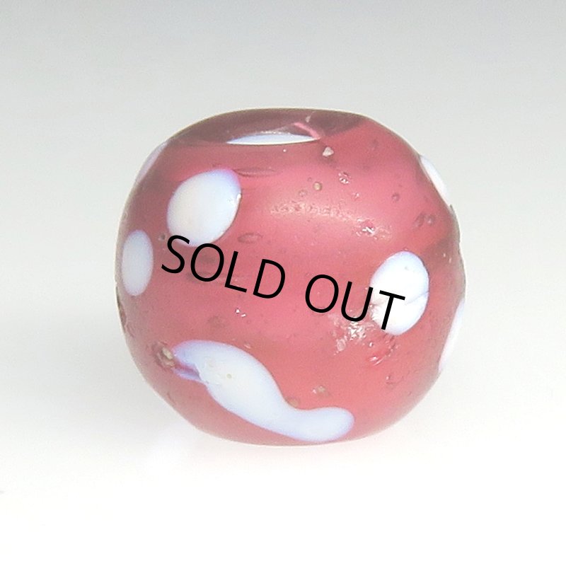 画像2: 金赤のレッドスカンク (2)