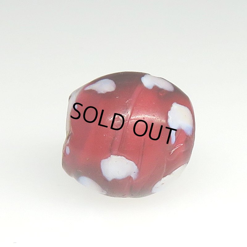 画像3: 深い金赤のレッドスカンク (3)