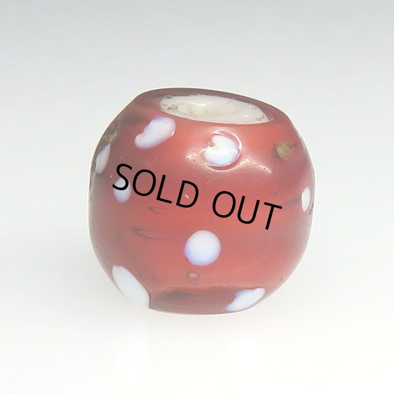 画像2: 深い金赤のレッドスカンク (2)