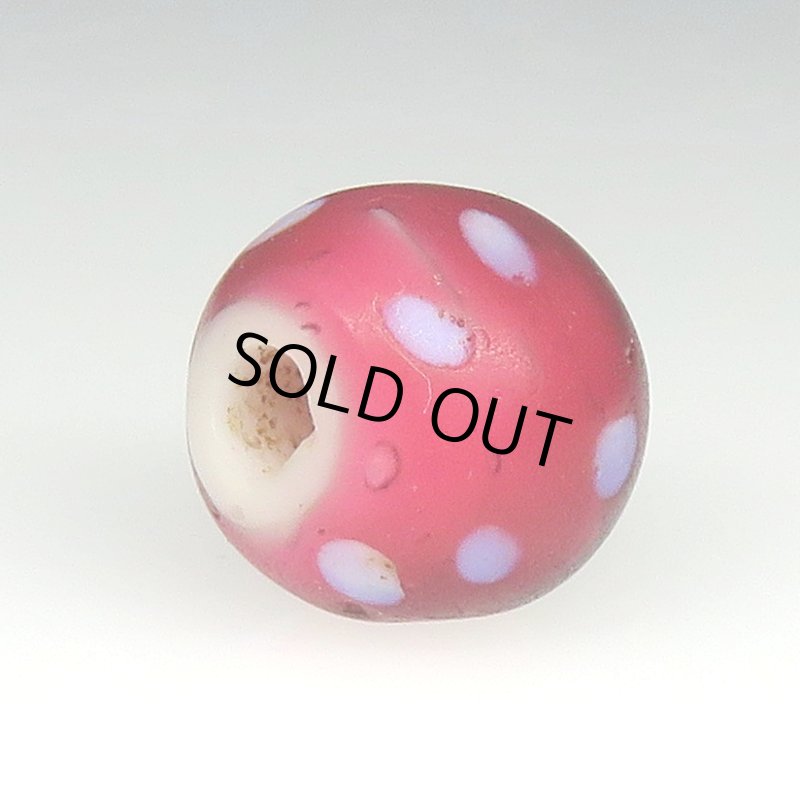 画像4: 美キャンディーのような金赤のレッドスカンク (4)