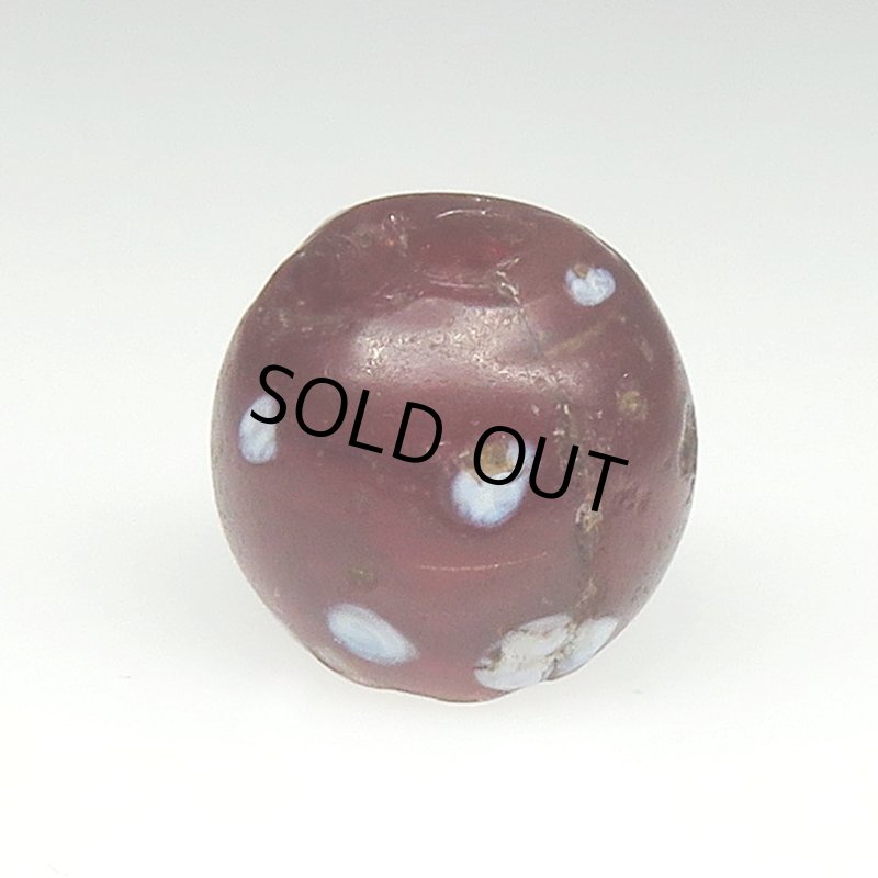 画像1: ダークレッドのスカンク (1)