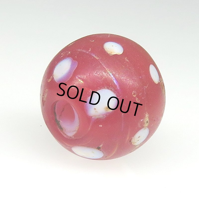 画像4: レア色レッドスカンク (4)