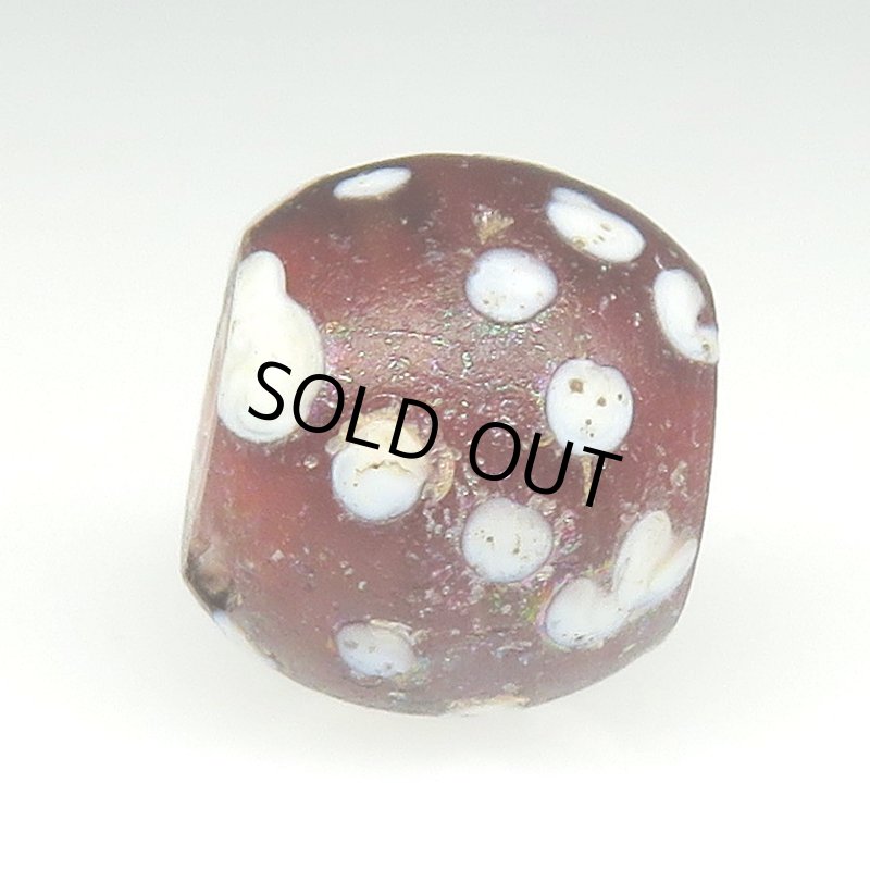 画像3: 風化渋色レッドスカンク (3)