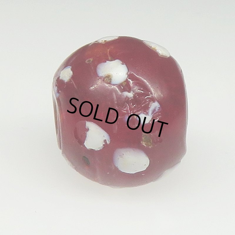 画像3: ダークレッドのスカンク (3)