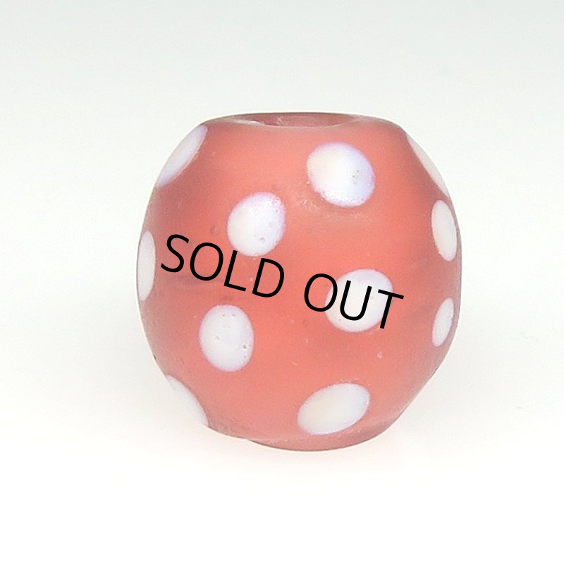 画像2: 美レア色レッドスカンク (2)