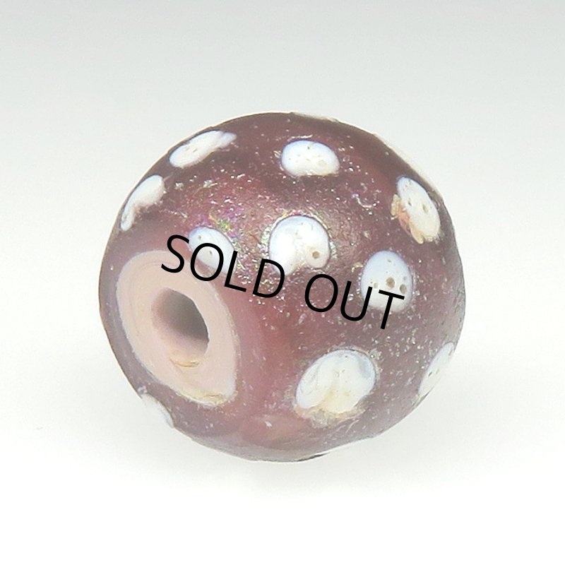 画像4: 風化渋色レッドスカンク (4)