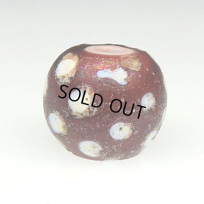 画像2: 風化渋色レッドスカンク (2)