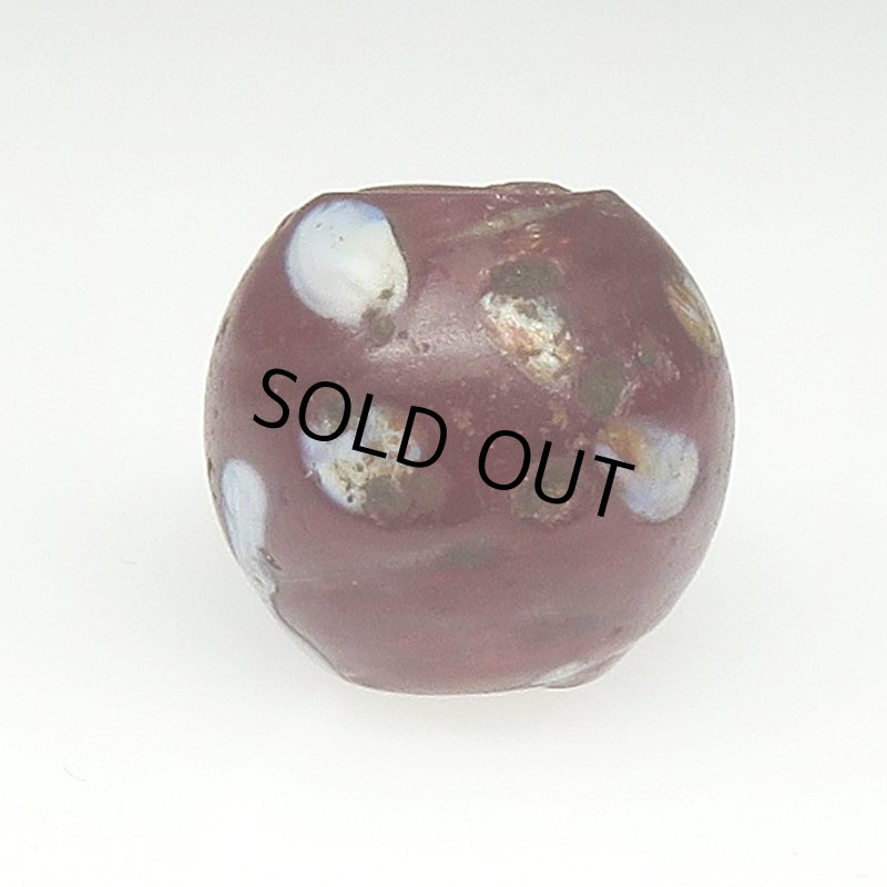 画像2: ダークレッドのスカンク (2)