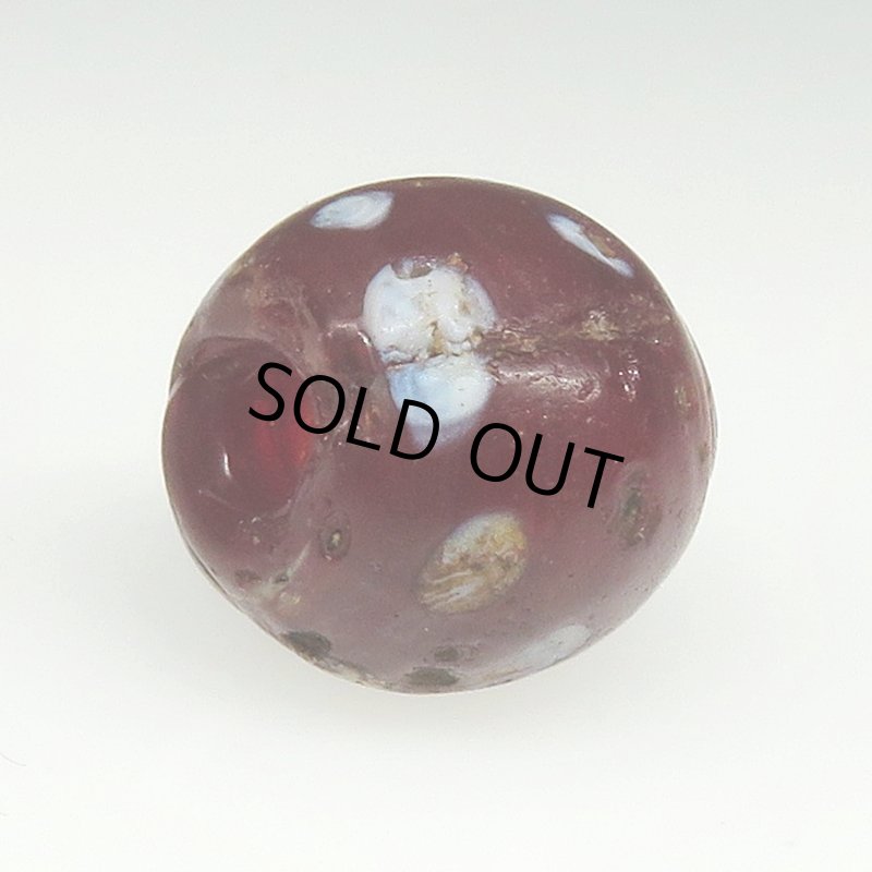 画像4: ダークレッドのスカンク (4)