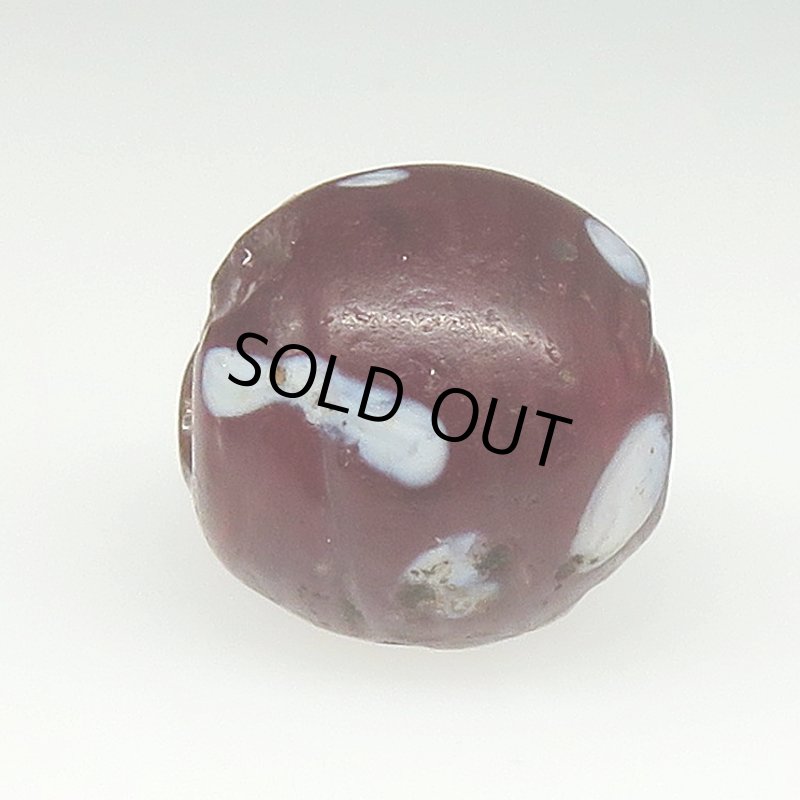 画像3: ダークレッドのスカンク (3)