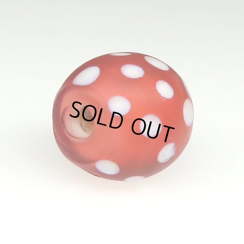 画像4: 美レア色レッドスカンク (4)