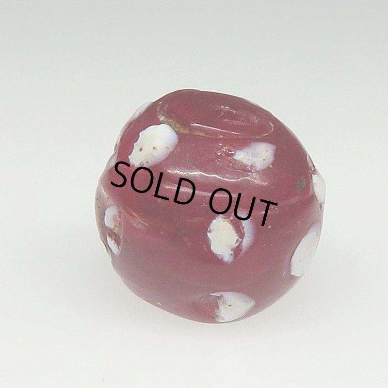 画像2: ダークレッドのスカンク (2)