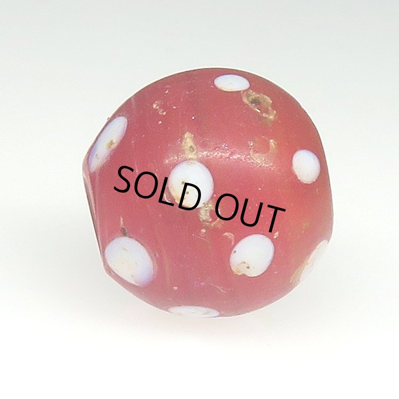 画像3: レア色レッドスカンク (3)