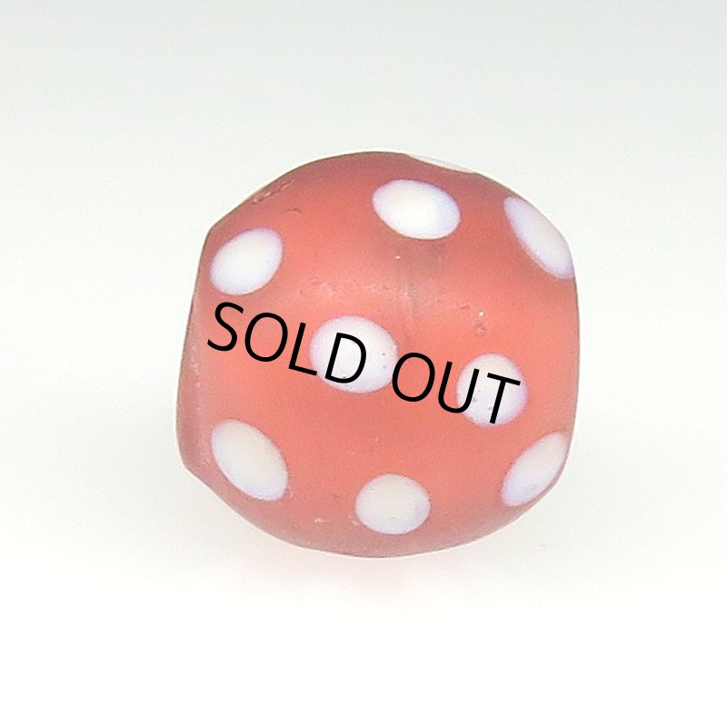 画像3: 美レア色レッドスカンク (3)