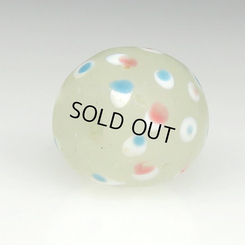 画像4: 美ホワイトスカンク (4)