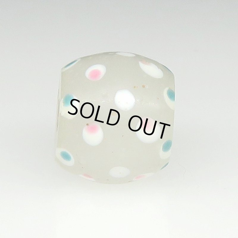 画像3: 美ホワイトスカンク (3)