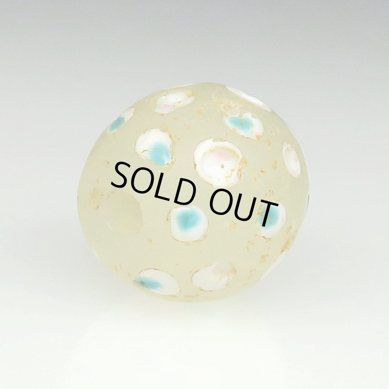 画像4: ホワイトスカンク (4)