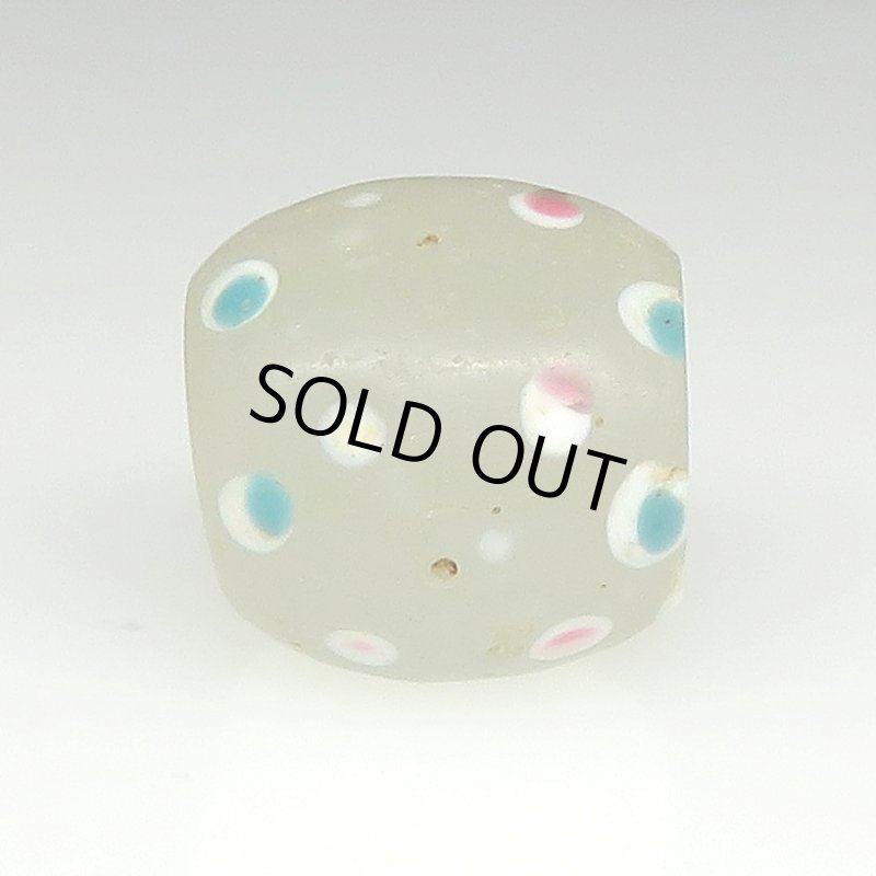 画像3: 研磨ホワイトスカンク (3)