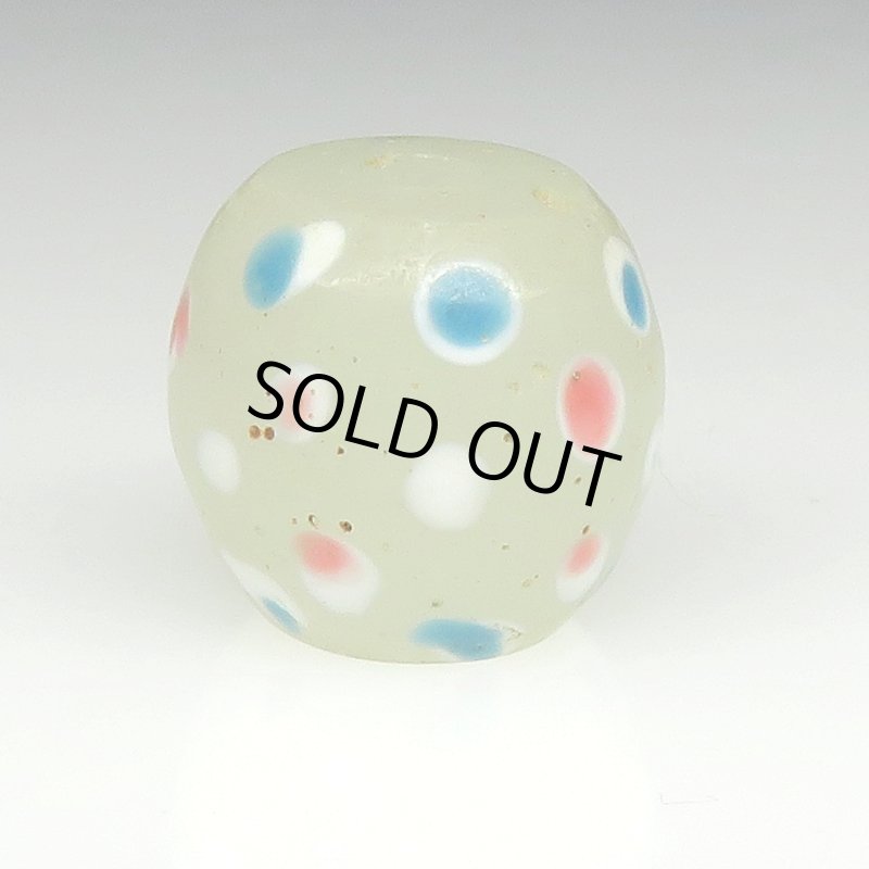 画像2: 美ホワイトスカンク (2)