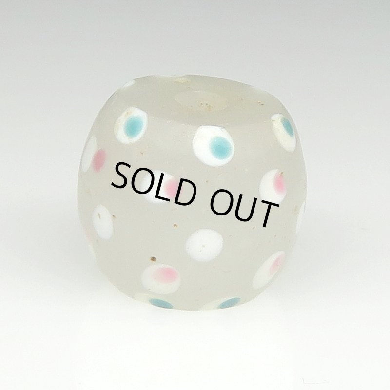 画像2: 美ホワイトスカンク (2)