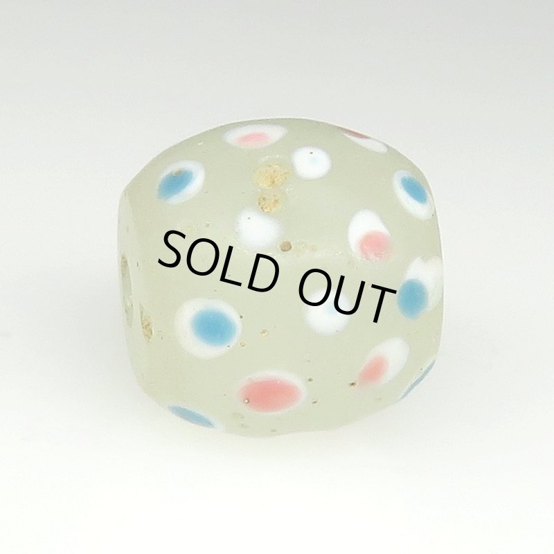 画像3: 美ホワイトスカンク (3)