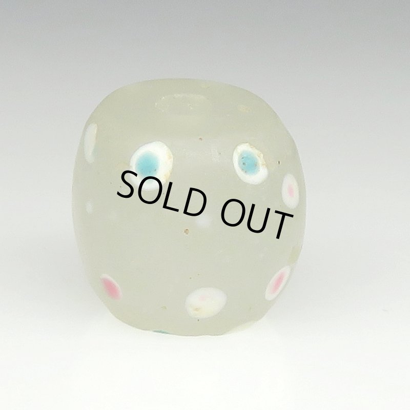 画像2: 研磨ホワイトスカンク (2)