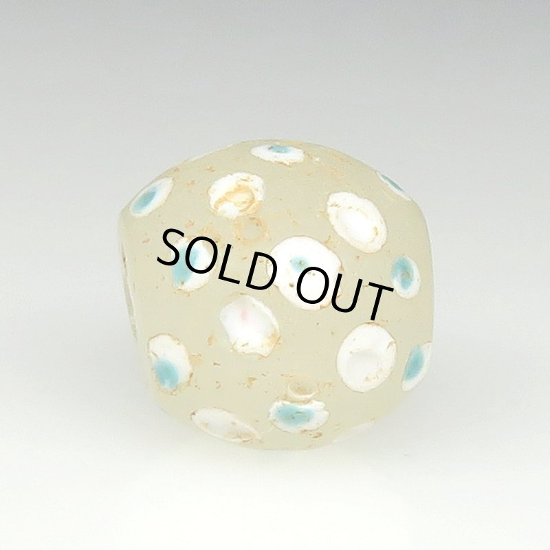 画像3: ホワイトスカンク (3)