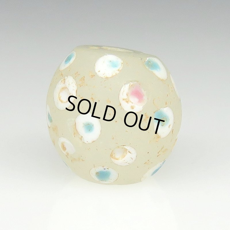 画像2: ホワイトスカンク (2)