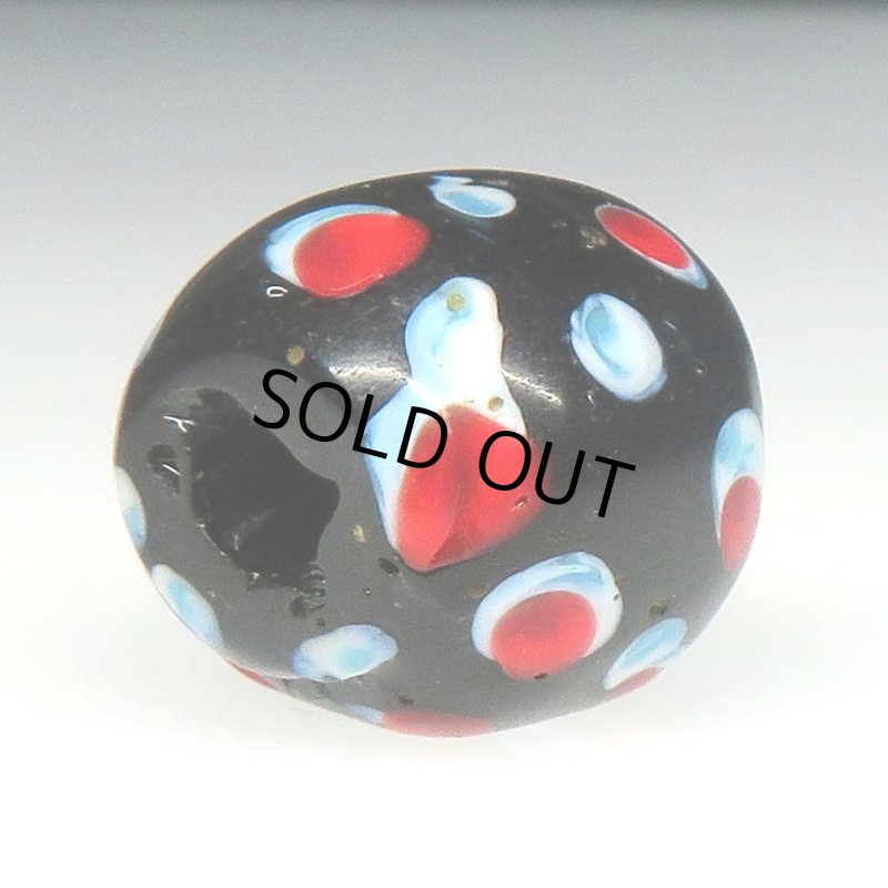 画像4: 美赤い目のブラックスカンク (4)