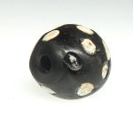 画像4: ブラックスカンク (4)