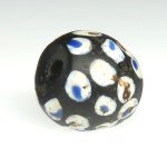 画像4: 紺ドットのブラックスカンク (4)