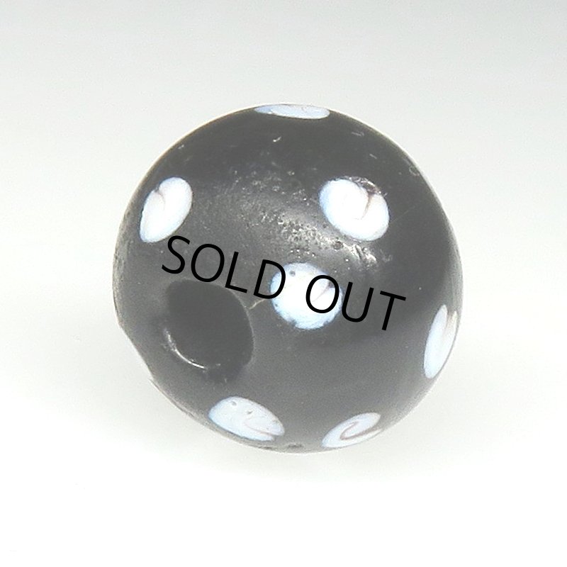 画像4: ブラックスカンク (4)