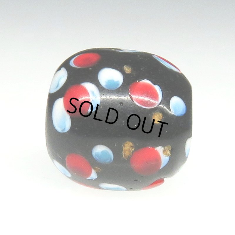 画像3: 美赤い目のブラックスカンク (3)