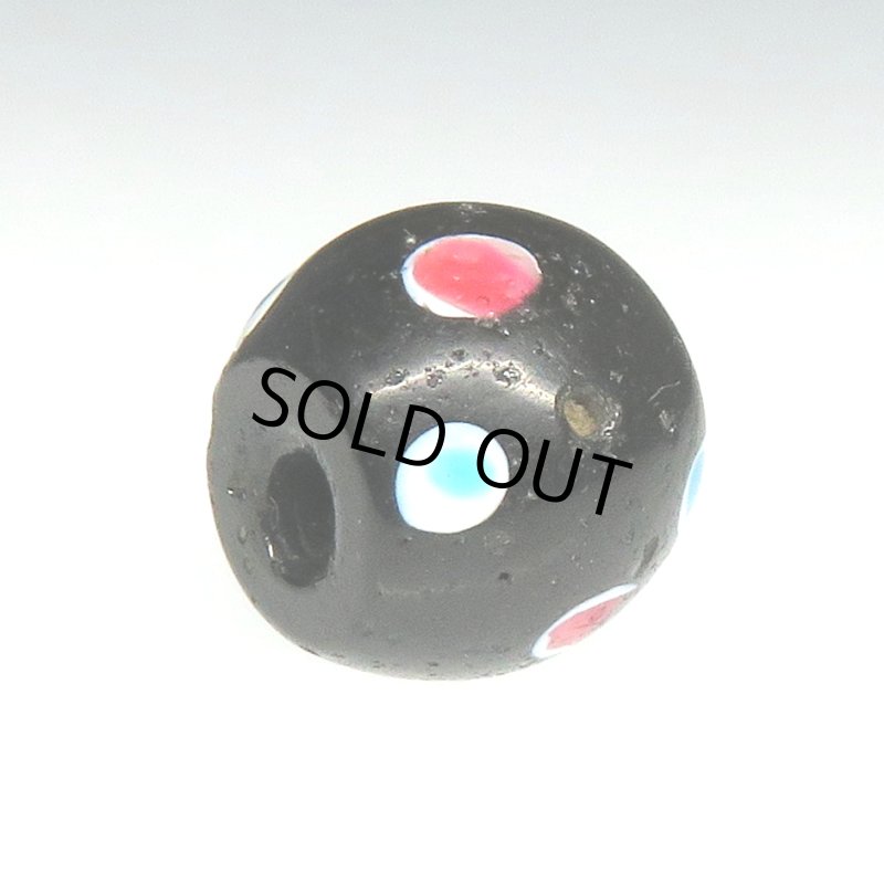 画像4: 美ピンク+ブルードットのブラックスカンク (4)